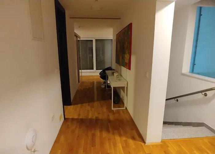 公寓 Leon 塞拉耶佛