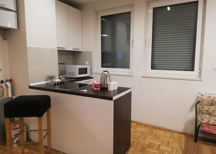 公寓 Leon 塞拉耶佛